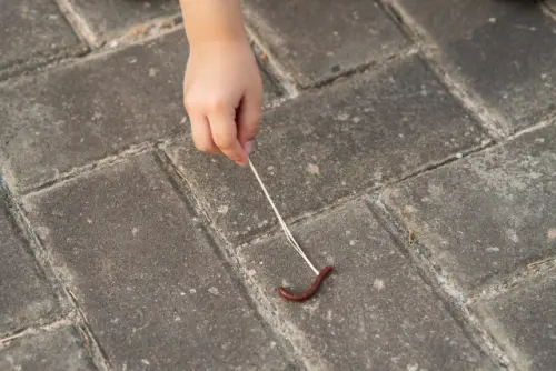 Centipede-Removal--in-Carson-California-centipede-removal-carson-california.jpg-image